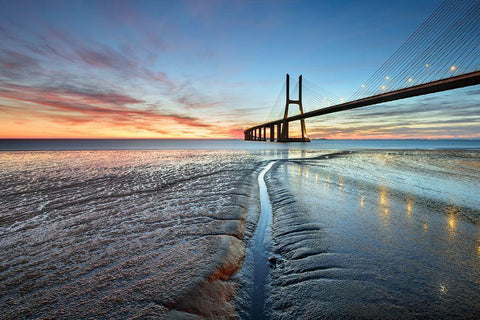 Follow Your Way Black Ornate Wood Framed Art Print with Double Matting by Roxo, Alvaro