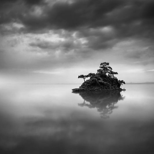 Image Only