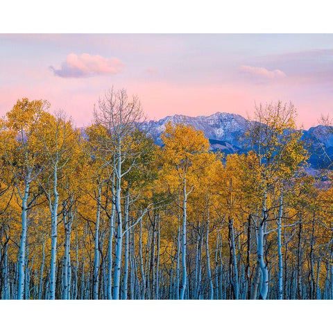 Autumn Delight Gold Ornate Wood Framed Art Print with Double Matting by Fan, John