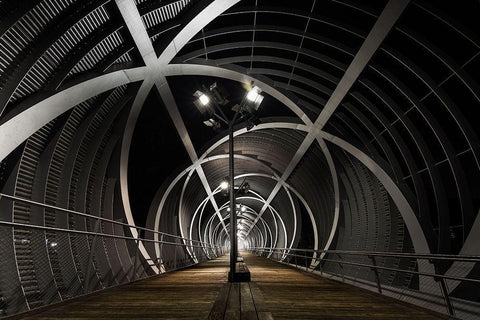 Vortex Vitae Black Ornate Wood Framed Art Print with Double Matting by Yunta, Isma