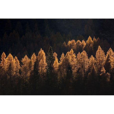 Light For A Few White Modern Wood Framed Art Print by Manzoni, Michel