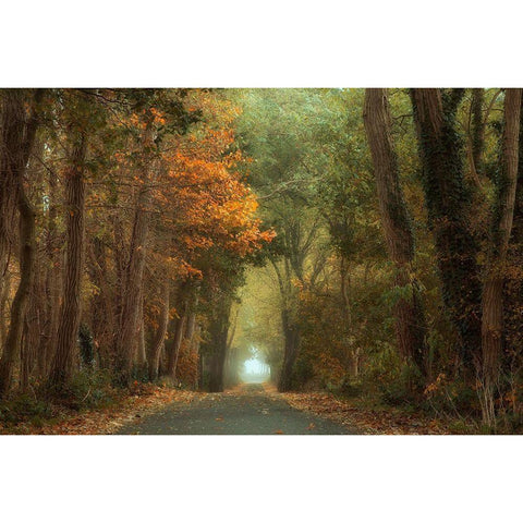 Country Road Black Modern Wood Framed Art Print with Double Matting by Van Dongen, Anton