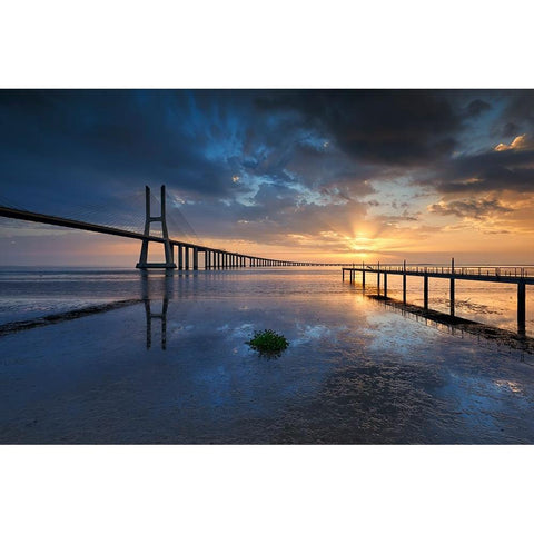 P H Y S I C A L Black Modern Wood Framed Art Print with Double Matting by Resende, Carlos