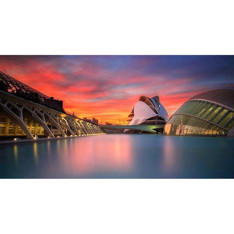 Colours Black Modern Wood Framed Art Print with Double Matting by Camacho, Anto