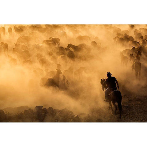 Cappadocia Wild Horses Black Modern Wood Framed Art Print with Double Matting by Mirica, Dan