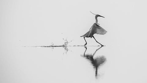 Qdancing On The Waterq White Modern Wood Framed Art Print with Double Matting by Rossi, Mauro