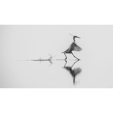 Qdancing On The Waterq Black Modern Wood Framed Art Print by Rossi, Mauro