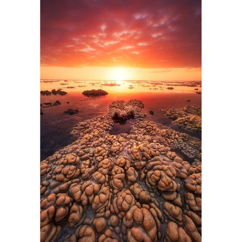 Low Tide On The Lagoon Of Saint Leu. White Modern Wood Framed Art Print by Gabriel, Barathieu