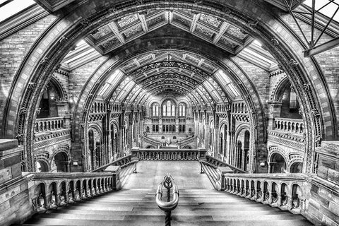 London Gallery White Modern Wood Framed Art Print with Double Matting by Pelissier, Marc