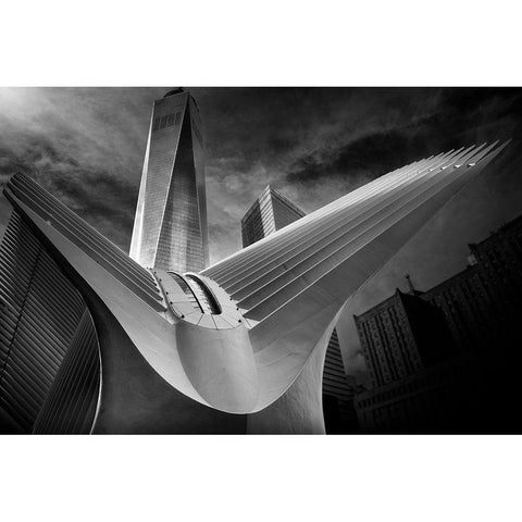 Oculus #01 White Modern Wood Framed Art Print by Forlano, Alessio