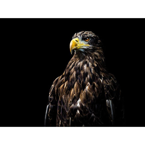 Ego White Modern Wood Framed Art Print by Lechtenfeld, Christian