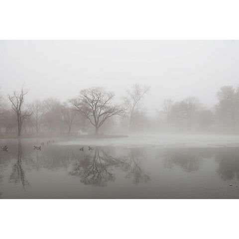 Untitled Black Modern Wood Framed Art Print by Lee, Haejung