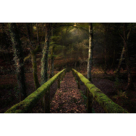 The Way To The Forest Gold Ornate Wood Framed Art Print with Double Matting by Mendoza, Chencho