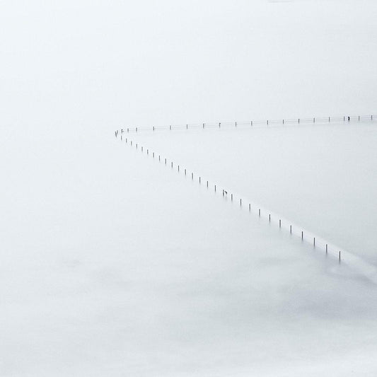 Image Only