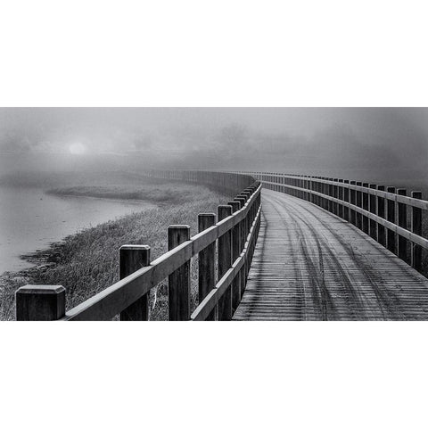 The Path To Something Better. Gold Ornate Wood Framed Art Print with Double Matting by Londal, Leif