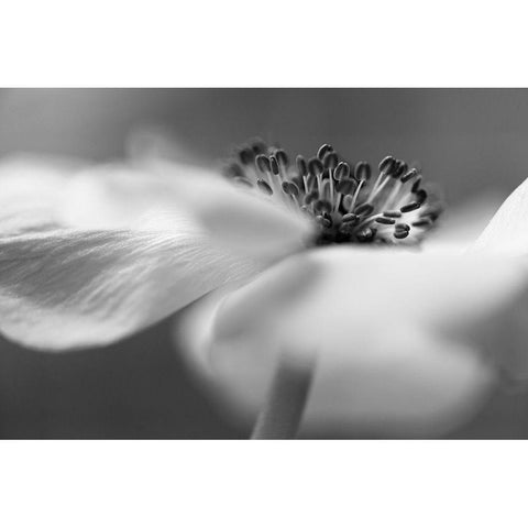 Untitled White Modern Wood Framed Art Print by Or, Keren