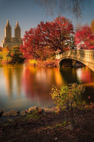 Fall In Central Park White Modern Wood Framed Art Print with Double Matting by R. Veizaga, Christopher