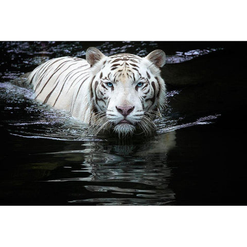 Looking At Me Looking At You Gold Ornate Wood Framed Art Print with Double Matting by Doyle, Renee