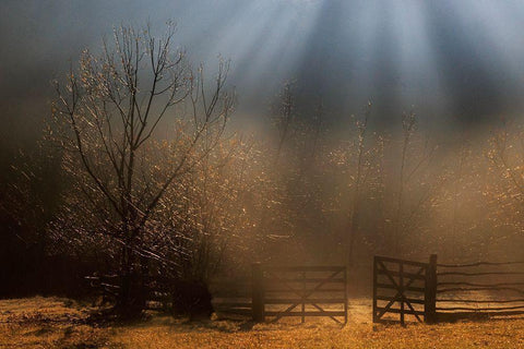 Heavens Door White Modern Wood Framed Art Print with Double Matting by Dorin Lucian, Sveduneac