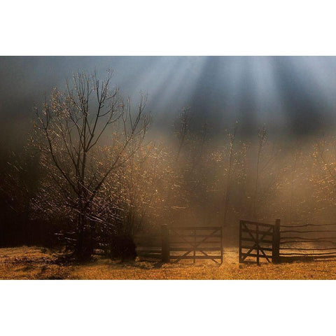 Heavens Door Black Modern Wood Framed Art Print by Dorin Lucian, Sveduneac