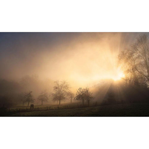 Glorious Morning White Modern Wood Framed Art Print by Urlings, Lou