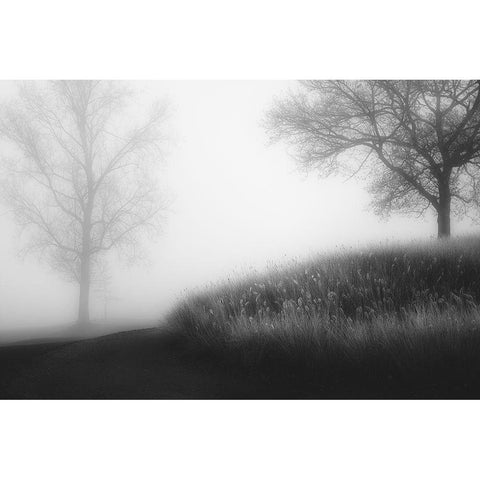 Foggy Morning White Modern Wood Framed Art Print by Huybrighs, Marc