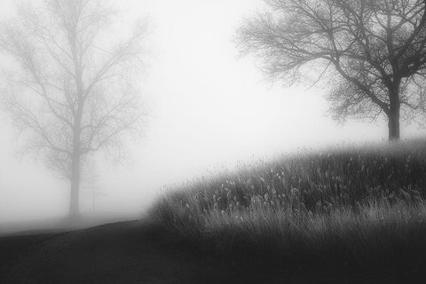 Foggy Morning Black Ornate Wood Framed Art Print with Double Matting by Huybrighs, Marc