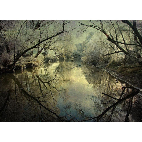 Frosty Silence White Modern Wood Framed Art Print by Ri, P