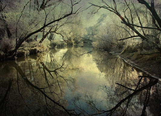 Image Only