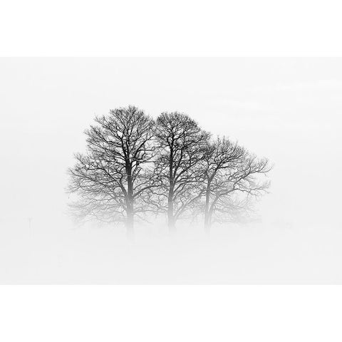 A Hazy Shade Of Winter Black Modern Wood Framed Art Print with Double Matting by Buchmann, Oliver