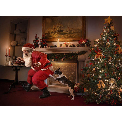 Santa Was Caught! Black Modern Wood Framed Art Print with Double Matting by DDiArte