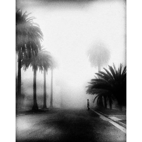 Fog Black Modern Wood Framed Art Print with Double Matting by Labagnara, Roxana