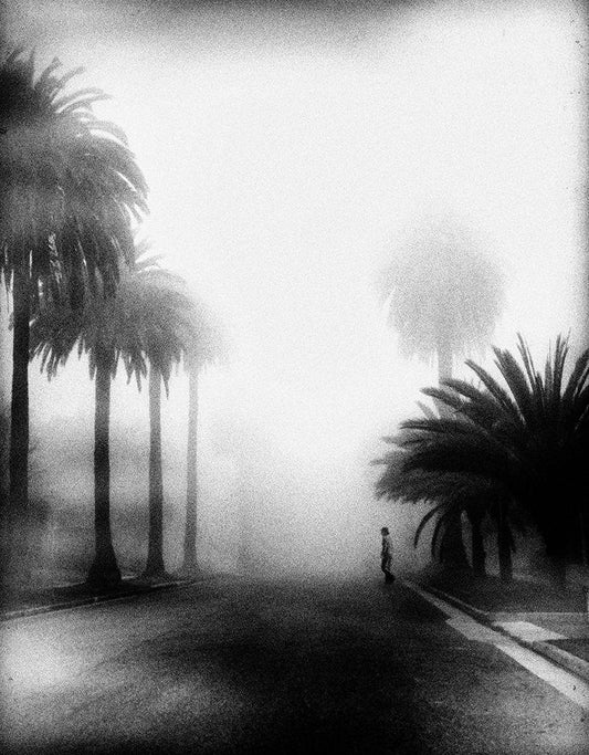 Image Only