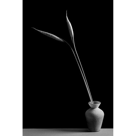 Double Black Modern Wood Framed Art Print with Double Matting by Oveckova, Kristina