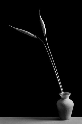 Double Black Ornate Wood Framed Art Print with Double Matting by Oveckova, Kristina