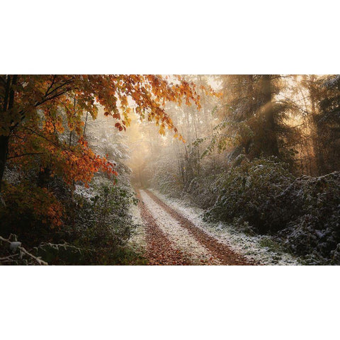 Frosty Fall White Modern Wood Framed Art Print by Croce, Vincent