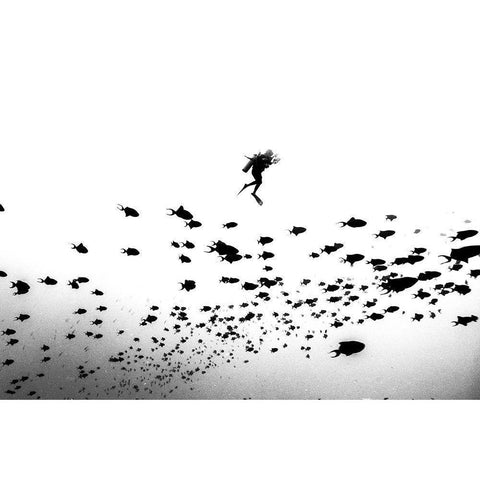 Pied Piper Of Hamelin Black Modern Wood Framed Art Print with Double Matting by Jung, Charlie