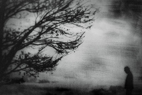 Tree... White Modern Wood Framed Art Print with Double Matting by Tsuchida, Teruhiko