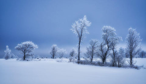 Winterland White Modern Wood Framed Art Print with Double Matting by Duguay, Christian