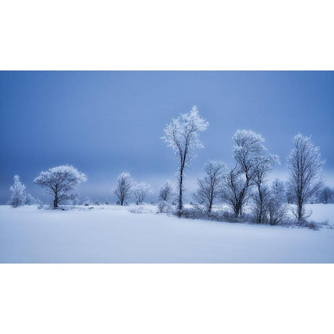 Winterland White Modern Wood Framed Art Print by Duguay, Christian