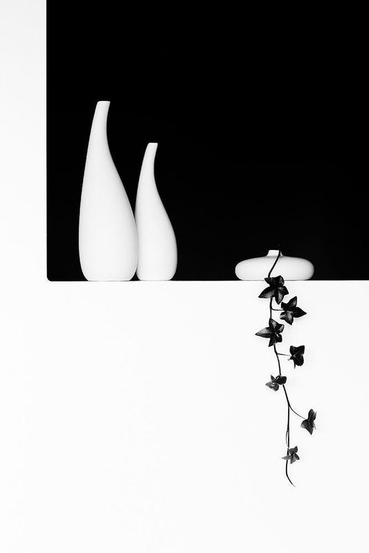 Image Only