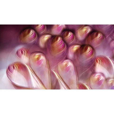 Rosebuds Gold Ornate Wood Framed Art Print with Double Matting by Westum, Heidi