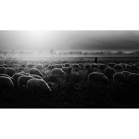 Let It Be Light! Black Modern Wood Framed Art Print with Double Matting by Cinteza, Marius