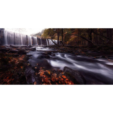 Gloom Black Modern Wood Framed Art Print by Lechuga, Mario