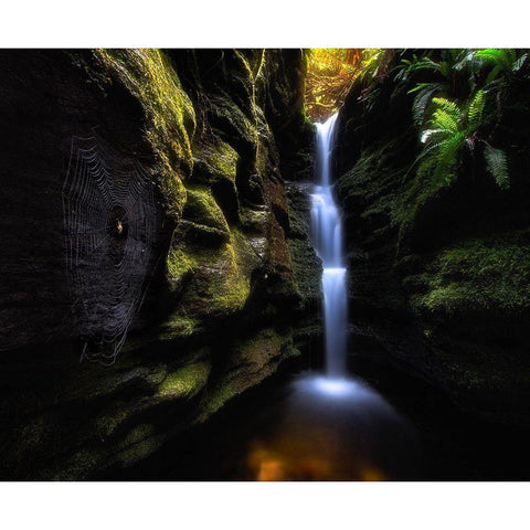 Secret Falls Gold Ornate Wood Framed Art Print with Double Matting by Shi, Fei