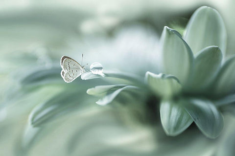 Bola Ajaib White Modern Wood Framed Art Print with Double Matting by Setiawan, Arief