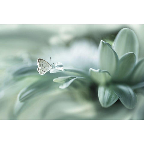 Bola Ajaib White Modern Wood Framed Art Print by Setiawan, Arief