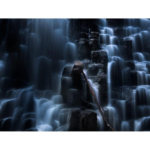 The One Black Modern Wood Framed Art Print by Shi, Fei