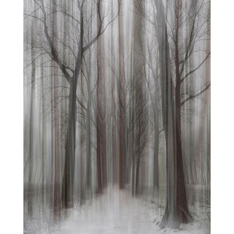 Winter Walz White Modern Wood Framed Art Print by Depaepe, Yvette