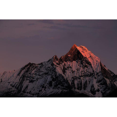Machhapuchhare. Nepal. Annapurnas. Black Modern Wood Framed Art Print with Double Matting by Le Manz, Richard